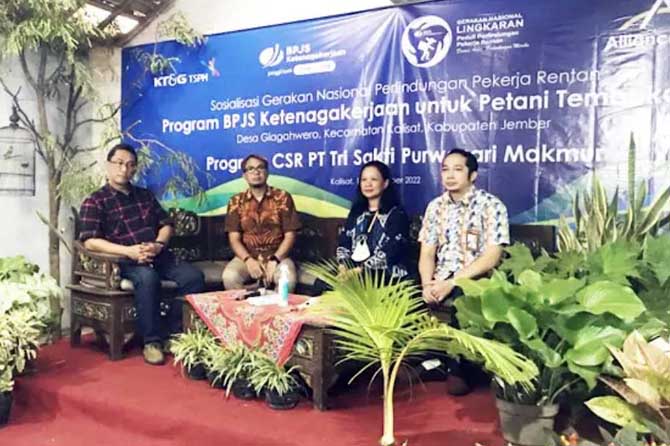 Dari kiri ke kanan: Bambang S., Manager Pembelian Tembakau TSPM, Safira Nur Hidayat, Manager Operasional Stasiun Bondowoso PT AOI Riwayati Triswanti, General Manager PT. TSPM, Zakky Ibrahim, Kepala Kantor BPJSTK Cabang Pandaan Pasuruan dalam sosialisasi p