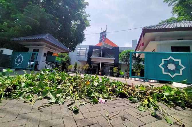 BENTUK PROTES: Enceng gondok yang diletakkan di depan kantor DPRD Kabupaten Pasuruan. (Foto: Iwan Andrik/Jawa Pos Radar Bromo)