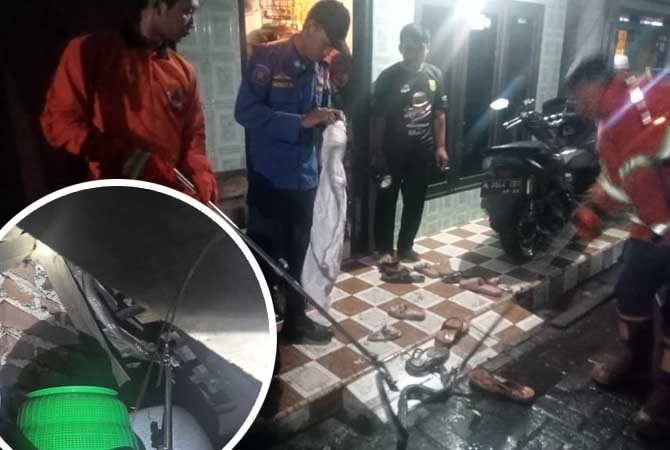 EVAKUASI: Personel BPBD mengamankan ular di rumah Jalil, warga Gadingrejo.
