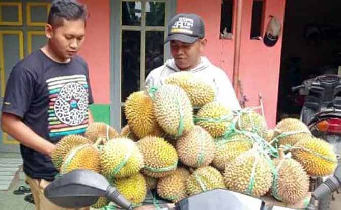 PUNYA CIRI KHAS: Durian yang dijual warga Lumbang. (Foto: M Rosyidi/Jawa Pos Radar Bromo)