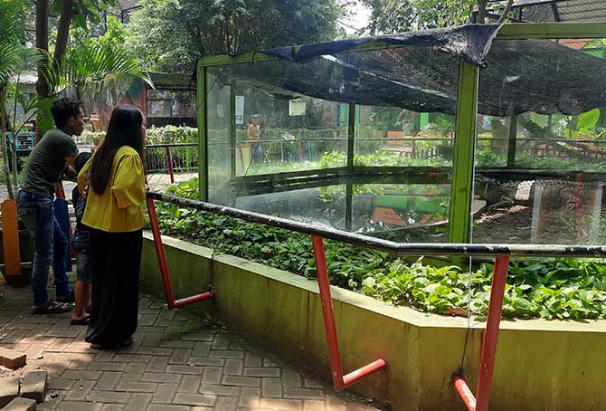 BONBIN MINI: TWSL Kota Probolinggo yang sudah 13 tahun berdiri. (Fahrizal Firmani/Jawa Pos Radar Bromo)