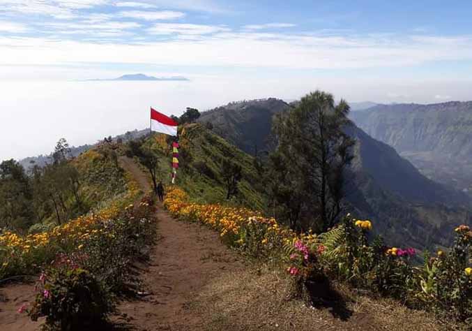 ALTERNATIF: Bukit bunga Puncaksari di Desa Sapih, Lumbang yang sepi akan pengunjung. (Foto: Istimewa)