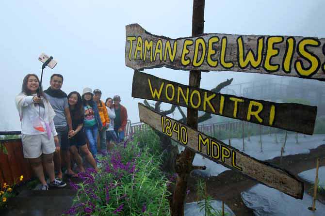CARI SUASANA BARU: Claudia wisatawan asal Surabaya saat berfoto bersama dengan latar pemandangan di taman edelweis di Wonokitri, Tosari. (Foto: M Zubaidillah/Jawa Pos Radar Bromo)