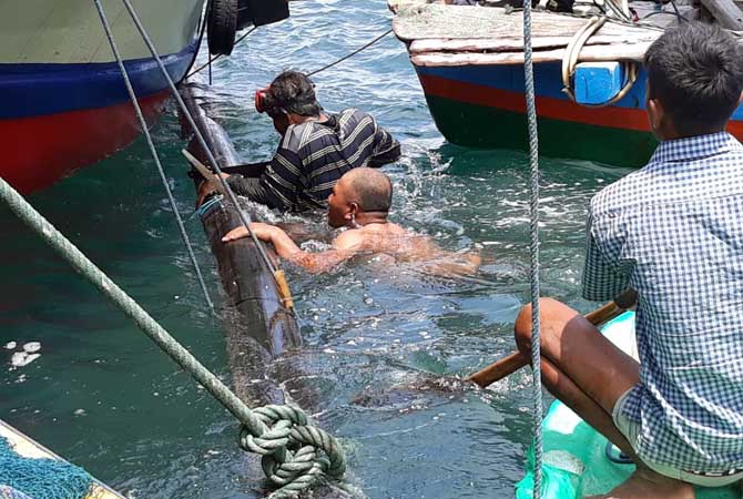 Dua warga Gili Ketapang, Holi dan Alwani, bersiap menyelam ke titik pipa yang rusak di dasar laut. (PDAM)