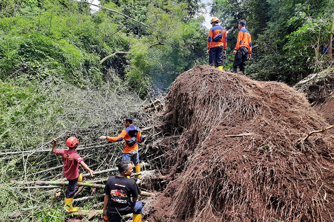 LONGSOR: TRC BPBD Kabupaten Probolinggo membersihkan rumpun bambu longsor dan mengganggu aliran sungai di Desa Pohsangit Ngisor, Kecamatan Wonomerto. (BPBD Kabupaten Probolinggo For Jawa Pos Radar Bromo)
