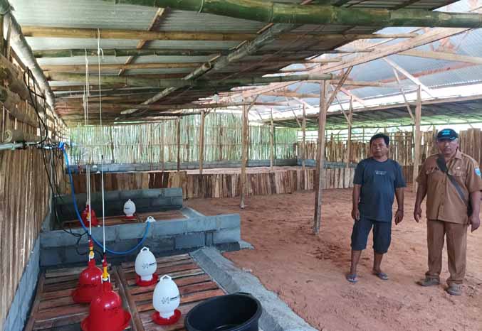 SUMBER PAD: Kepala Desa Brabe Sunardi (pakai kaus) bersama perangkat desa mengecek kandang bebek milik Unit Usah BUMDes. (Foto: Agus Faiz Musleh/Jawa Pos Radar Bromo)