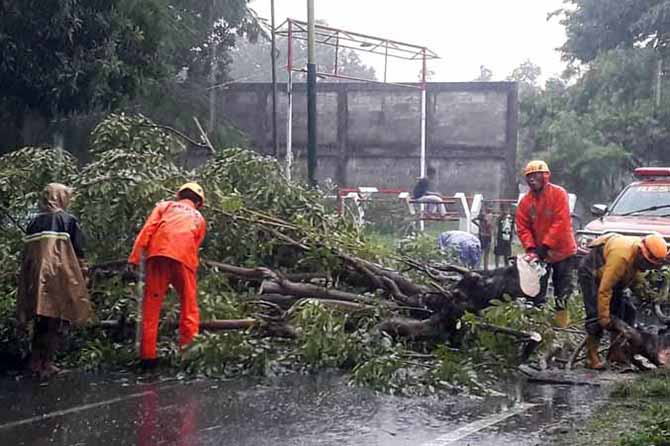 GERAK CEPAT: Personel BPBD mengevakuasi pohon yang tumbang di Segok, Kelurahan Gempeng, Bangil, Senin (27/2) sore. (Foto: BPBD for Jawa Pos Radar Bromo)