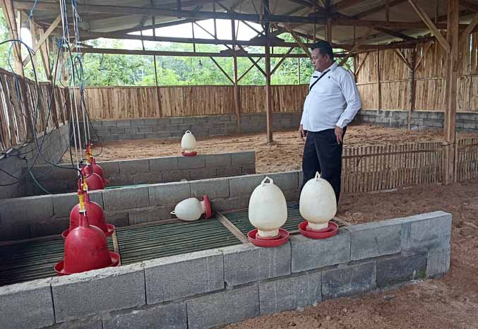 PERSIAPAN : Kandang bebek berukuran sekitar 10 x 20 meter telah dibangun di Dusun Curah Lele, Desa Gerongan. Kandang ini disiapkan untuk menampung 2.000 bibit bebek potong. (Foto: Jamaluddin/Jawa Pos Radar Bromo)