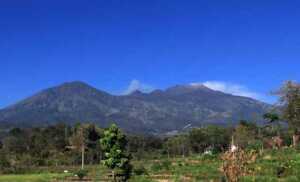 MENARIK: Gunung Arjuno dan Welirang terlihat dari kejauhan. Sejauh ini, jalur pendakian menuju dua gunung ini tetap dibuka. (Foto: dok Jawa Pos Radar Bromo)