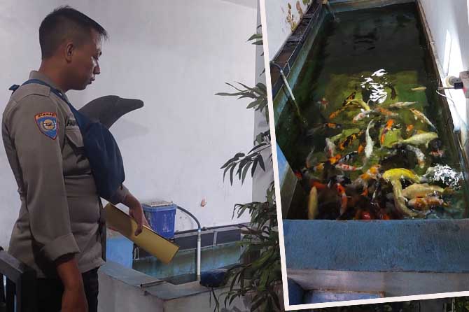 NAHAS: Petugas saat memantau kolam ikan koi tempat korban ditemukan meninggal tenggelam.