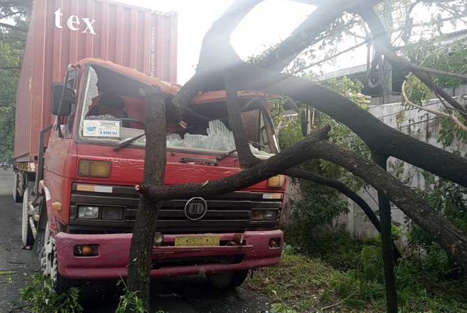 Kondisi truk yang tertimpa pohon tumbang di Pandaan.