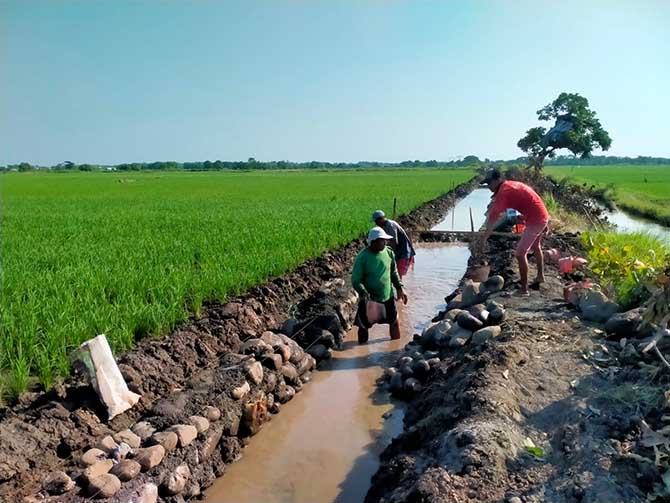 OPTIMALKAN PERTANIAN: Sejumlah pekerja membangun saluran irigasi di Dusun Tanggulangin sepanjang 550 meter beberapa waktu lalu.