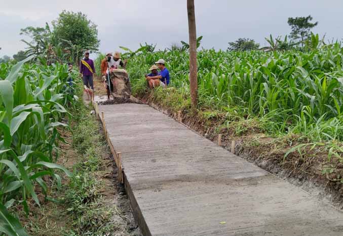LEBIH BAIK: Pemerintah Desa Kropak telah membangun sejumlah jalan usaha tani. Salah satu tujuannya, mempermudah akses menuju lahan pertanian. (Foto: Arif Mashudi/Jawa Pos Radar Bromo)