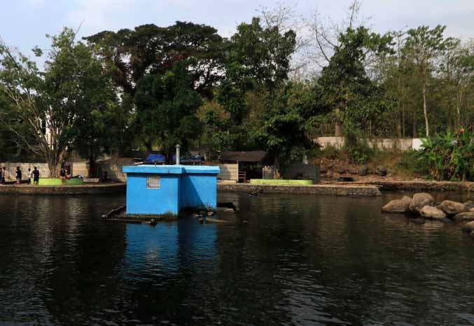 SEGAR: Kawasan di sekitar mata air Umbulan di Kecamatan Winongan. Sudah dua tahun ini air dari Umbulan dimanfaatkan untuk ribuan masyarakat di Pasuruan, Gresik, Sidoarjo, dan Surabaya. (Foto: M Zubaidillah/Jawa Pos Radar Bromo)