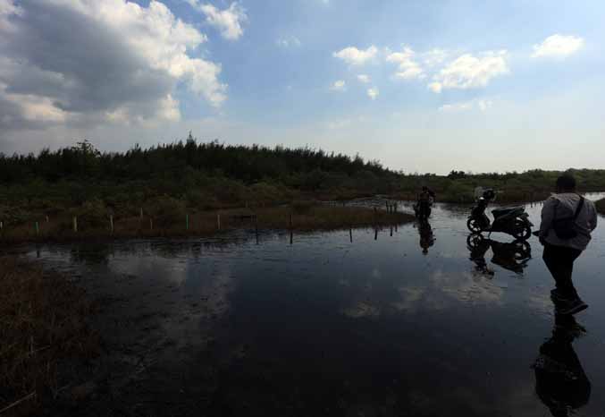 CEK LANGSUNG: Pegiat Lingkungan Kota Probolinggo mengecek lokasi pohon mangrove yang dipotong sekelompok orang. (Zainal Arifin/Jawa Pos Radar Bromo)