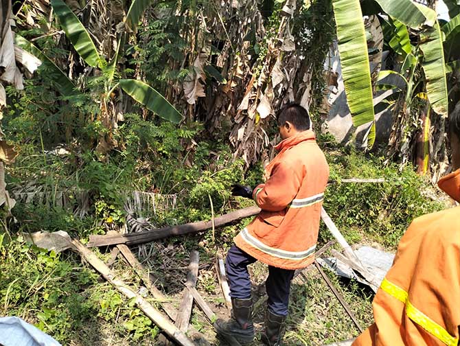 LENGKAP: Personel damkar saat mengevakuasi sarang tawon vespa di Sekargadung. (Foto : BPBD Kota Pasuruan for Jawa Pos Radar Bromo)