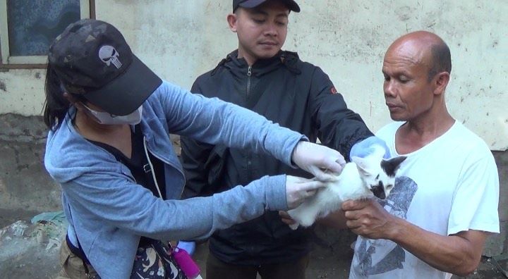 VAKSINASI: Petugas melakukan vaksinasi anjing di Kelurahan Gilimanuk, Kecamatan Melaya, Jembrana Selasa 20 Juni 2023. Vaksinasi ini untuk mencegah rabies.