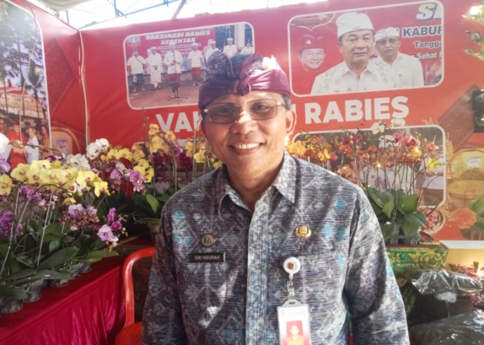 Kepala Dinas Pertanian, Pangan, dan Perikanan Kabupaten Karangasem I Nyoman Siki Ngurah bicara soal El Nino