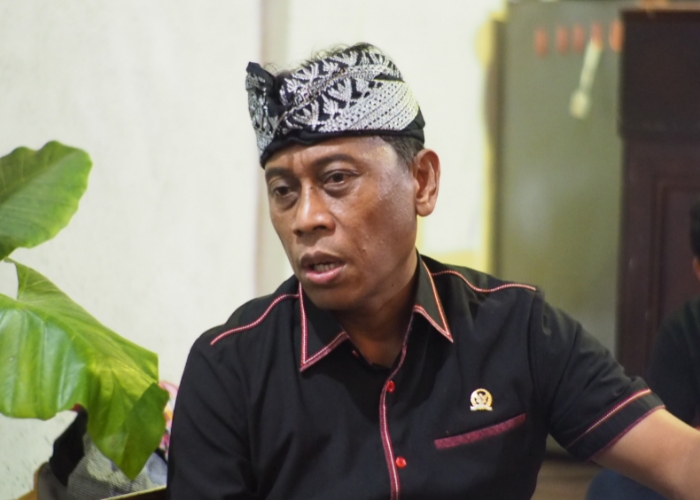 Anggota Komisi IX DPR RI Ketut Kariyasa Adnyana