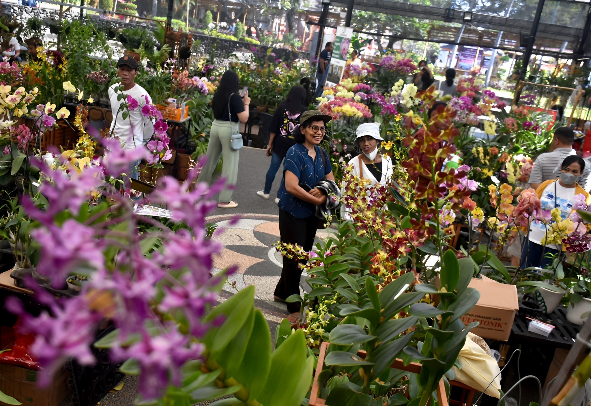ARENA PKB: Pesta Kesenian Bali juga menghadirkan pameran anggrek sebagai wadah promosi sekaligus edukasi.