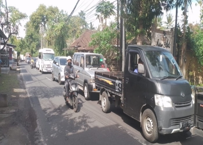 KRODIT : Kondisi lalu lintas di Jalan Raya Sayan, Kecamatan Ubud, Gianyar, Jumat (30/6).