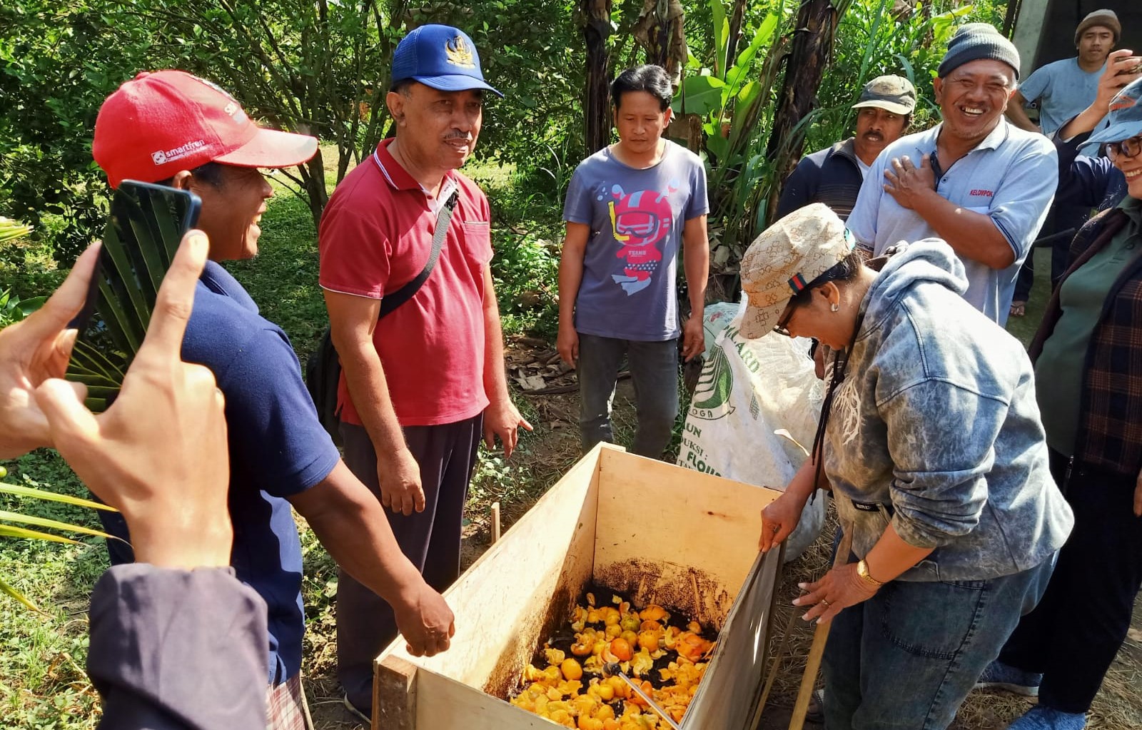 Limbah jeruk bisa diolah jadi pupuk organik padat