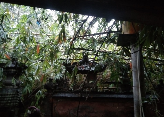 TUMBANG: Pohon tumbang menimpa rumah warga, Minggu (2/7).