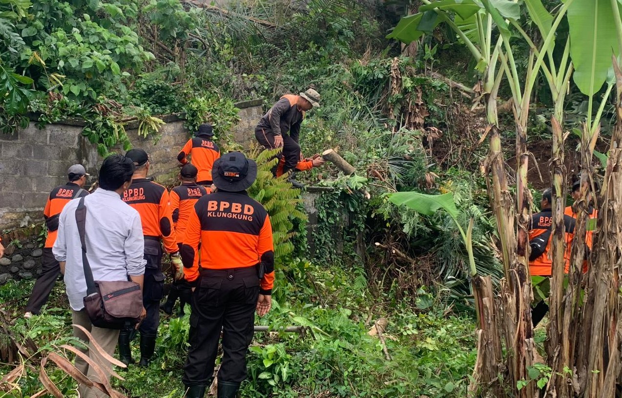 WASPADA : BPBD Klungkung membersihkan pohon tumbang akibat tanah longsor dan menimpa pelinggih warga beberapa waktu lalu.
