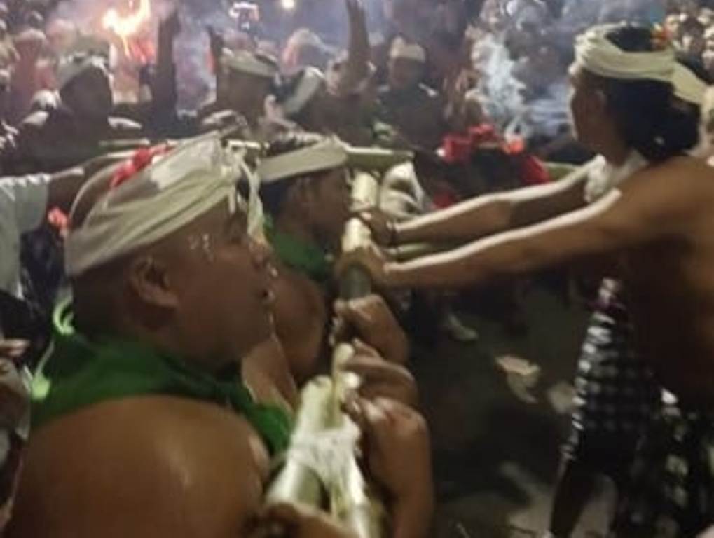 TRADISI HINDU BALI: Rangkaian pelaksanaan tradisi Bukakak di Desa Sudaji, Kecamatan Sawan, Buleleng .