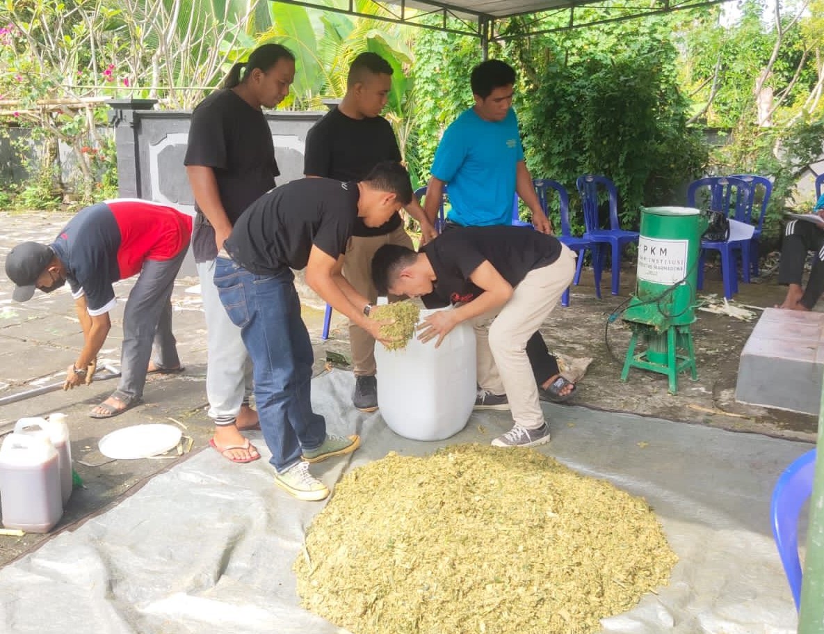 Pemanfaatan ubi talas sebagai pakan ayam kampung dapat dilakukan dengan melakukan fermentasi terlebih  dahulu.