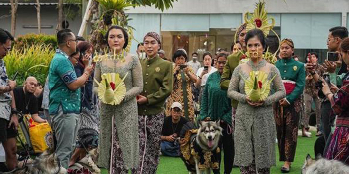 pernikahan sepasang Anjing bernama Jojo dan Luna dengan adat Jawa
