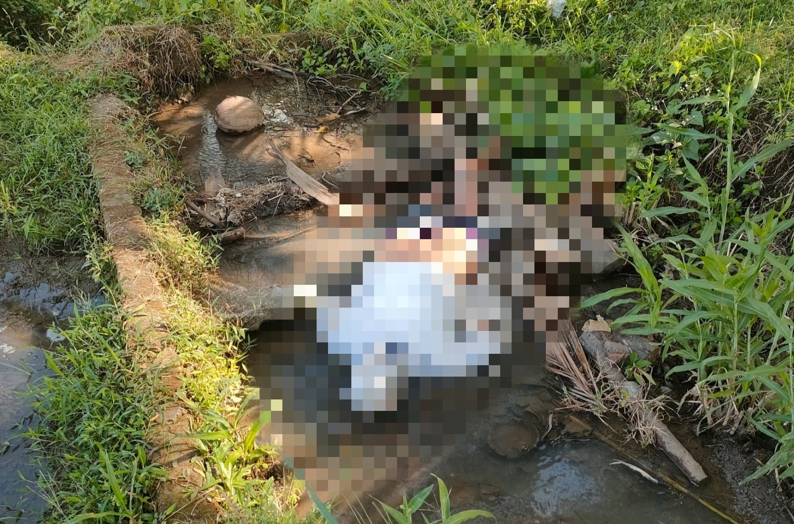Mayat Desak Nyoman Artini,53 ditemukan tewas dalam keadaan telungkup di parit kawasan kuburan Desa Timpag, Tabanan,  Kamis 20 Juli 2023.