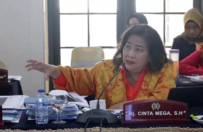 Anggota DPRD DKI Jakarta Cinta Mega yang diduga main slot saat sidang paripurna