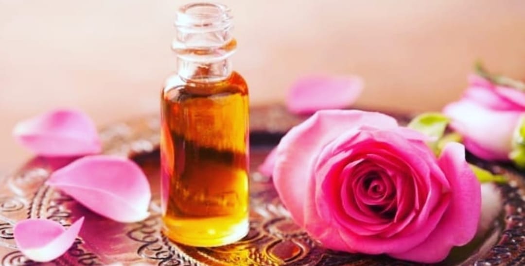 Dahayu Centifolia oil, produk perawatan rambut dengan bahan dasar VCO dan minyak mawar.