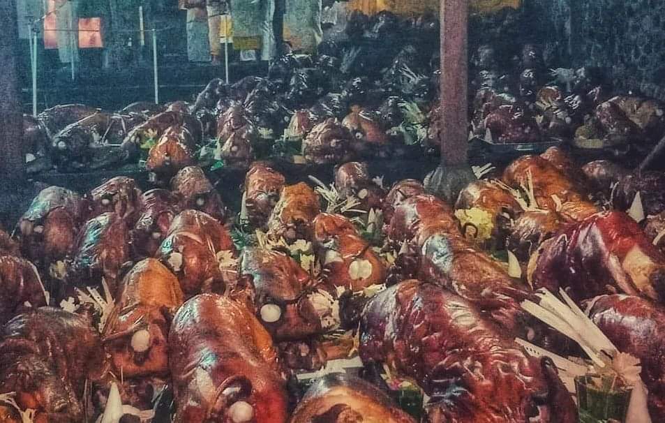 Tradisi Hindu Bali; Mitologi di Balik Ritual Menghaturkan hingga Ratusan Babi Guling saat Ngusaba Sumbu
