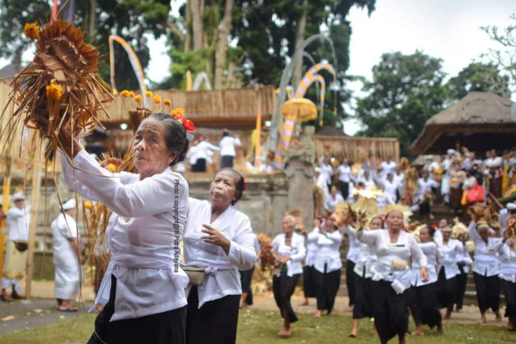 TARI NAMPYOG: Begini rangkaian gerakan Tari Nampyog di Pura Samuan Tiga, Desa Bedulu. Selain berfungsi untuk penyucian, juga untuk   mentralisir merana dan wabah penyakit.
