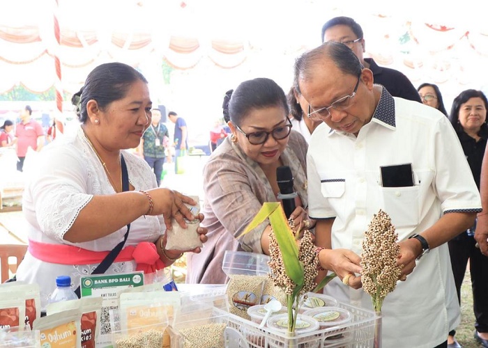 PASAR : Gubernur Bali Wayan Koster dan Ketua TP PKK Provinsi Bali Ny. Putri Suastini Koster mengunjungi Pasar Gotong Royong.