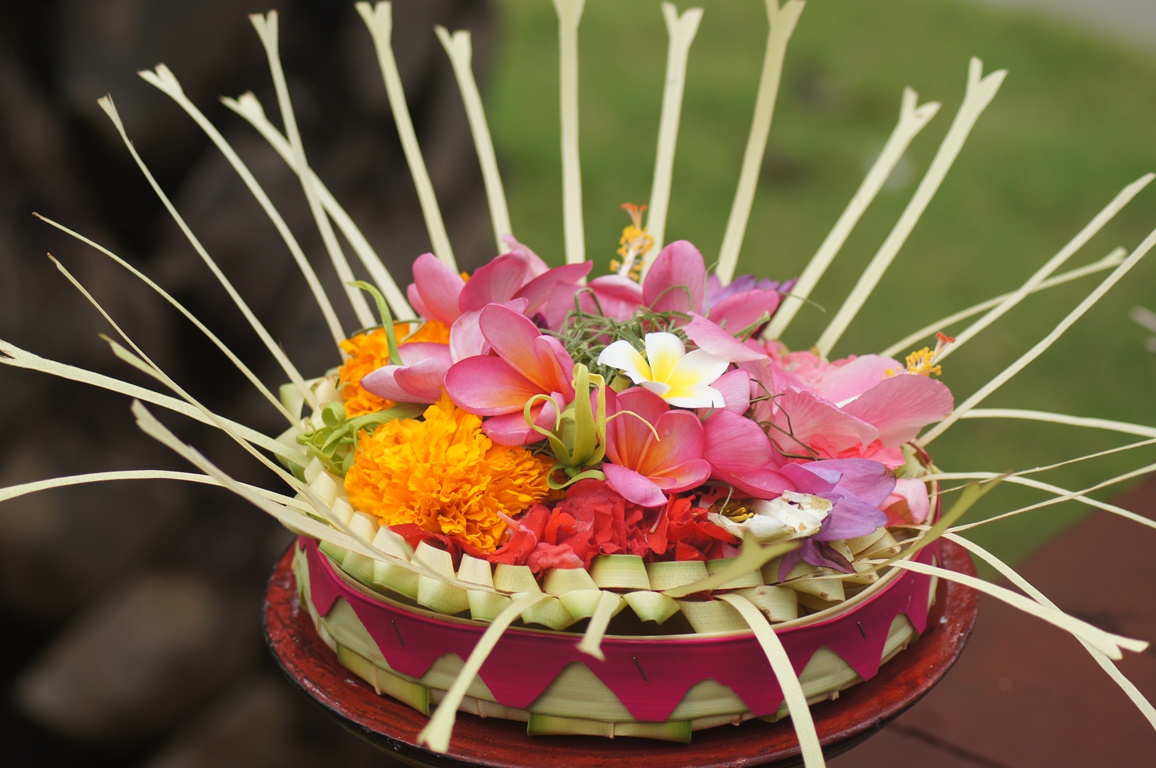 Harga canang sari menjelang Hari Raya Hindu seperti Galungan salalu meroket. Salah satu penyebabnya, salah satu bahannya, gumitir, masih impor.