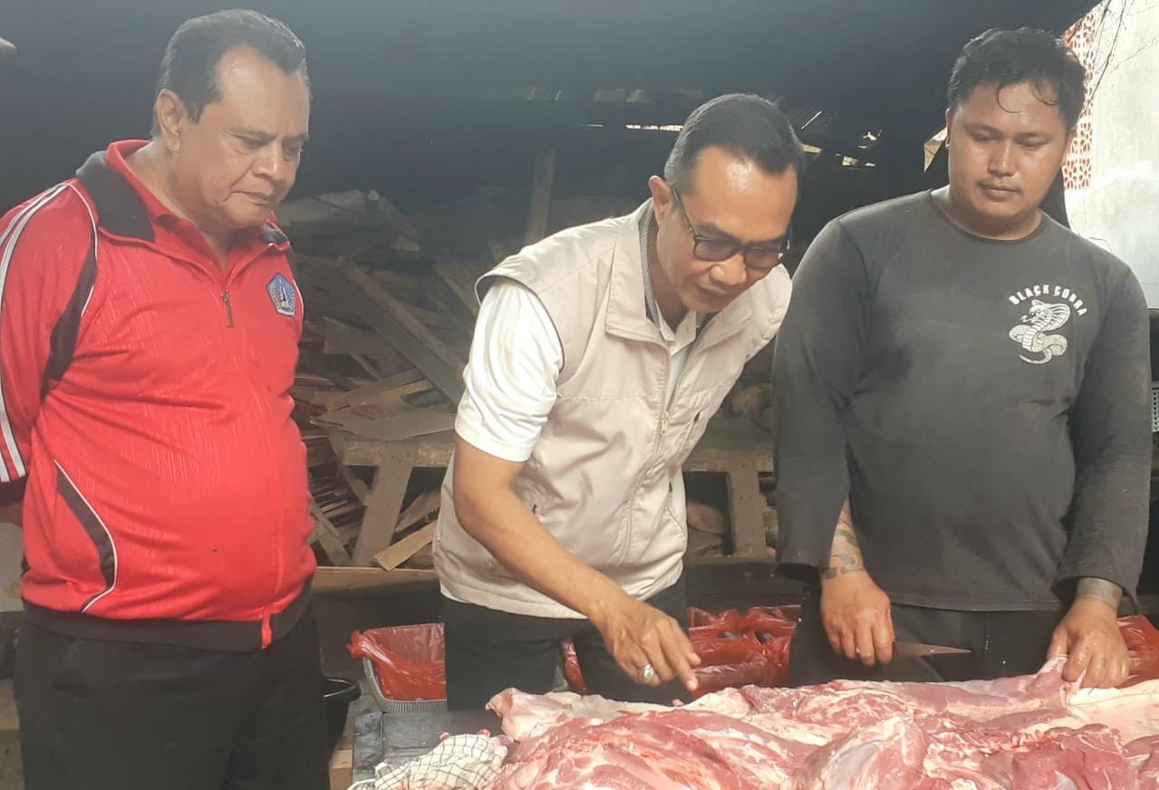 Kadisperpa Badung I Wayan Wijana saat melaksanakan pemeriksaan daging babi terkait Hari Raya Galungan, Senin 31 Juli 2023.