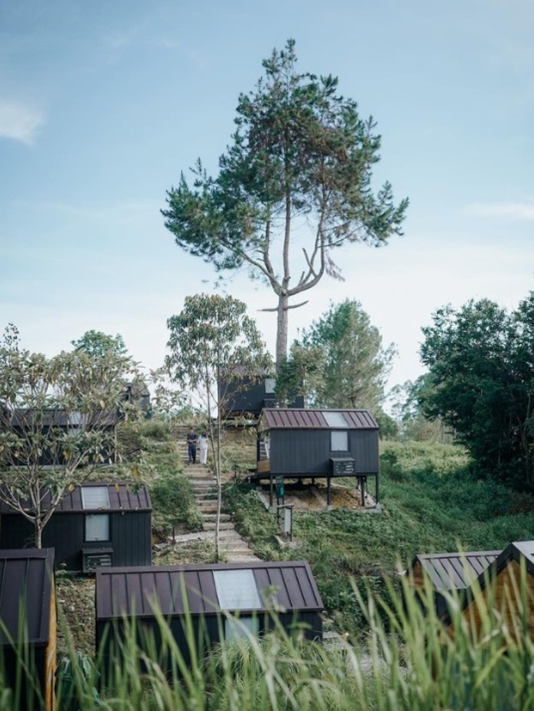 Bobo Cabin Kintamani. Sesuai namanya, hotel ini terletak di Kecamatan Kintamani. Tepatnya di Jalan Song Dikit, Desa Songan A.