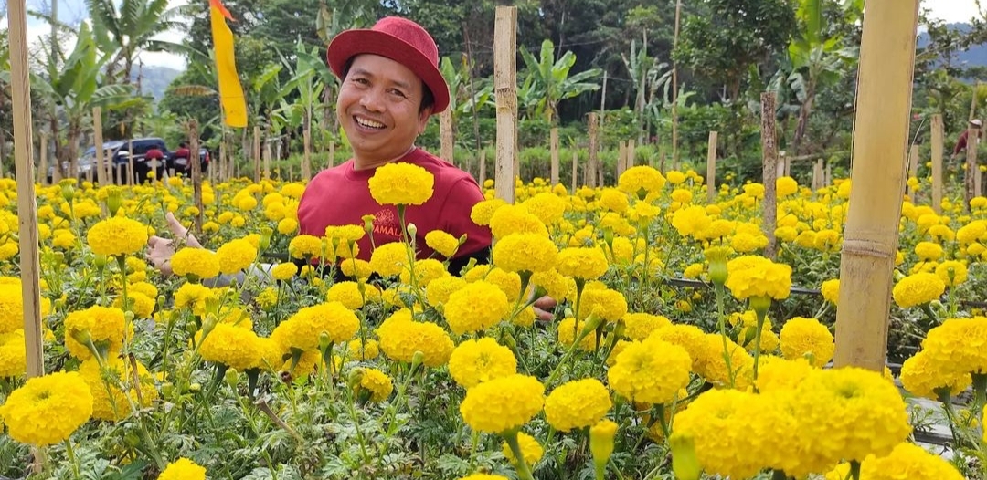 Prof Muhamad Syukur berpose di taman bunga gumitir.