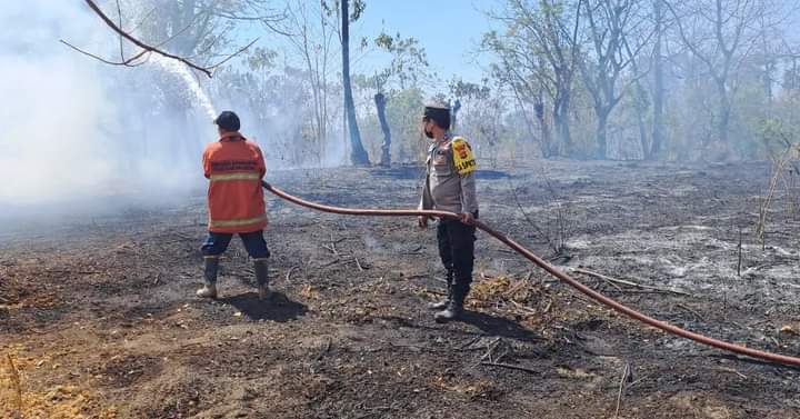 Petugas gabungan TNI/Polri, Damkar dibantu relawan memadamkan lahan yang terkabar di Karangasem, Bali, Minggu (27/8).