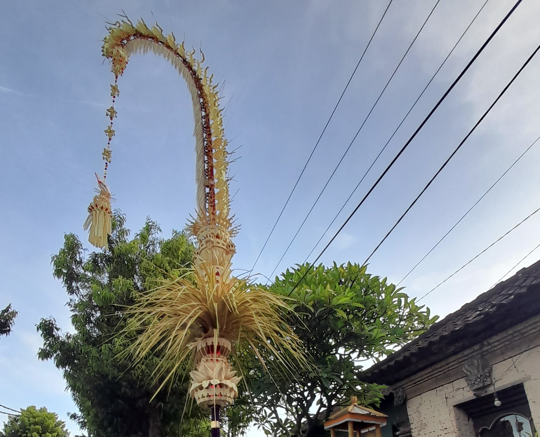 Penjor Galungan dicabut pada Buda Kliwon Pegat Uwakan