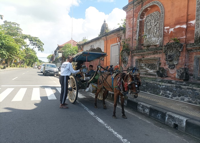 BERTAHAN : Dokar milik I Ketut Dania, 62, yang bertahan ditengah modernisasi Kota Klungkung.