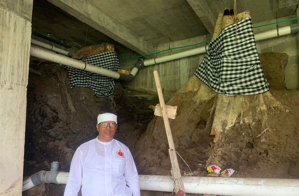 Jro Mangku I Nyoman Swastika dan dua pohon besar yang sudah ditebang di Ayuterra Resort Ubud Gianyar Bali, yang sudah diikatkan kain poleng dan diupacarai.