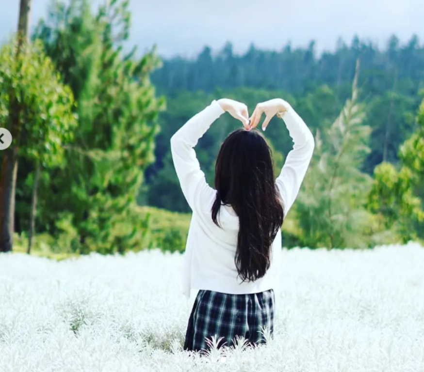 TAMAN EDELWEISS: Taman bunga yang satu ini berlokasi di Desa Temukus, Kecamatan Rendang, Kabupaten Karangasem.