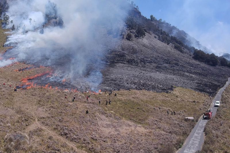 Personel gabungan Balai Besar Taman Nasional Bromo Tengger Semeru (BB TNBTS) pada saat melakukan proses pemadaman api di area savana, di wilayah Kabupaten Malang, Jawa Timur, Rabu (30/8/2023).