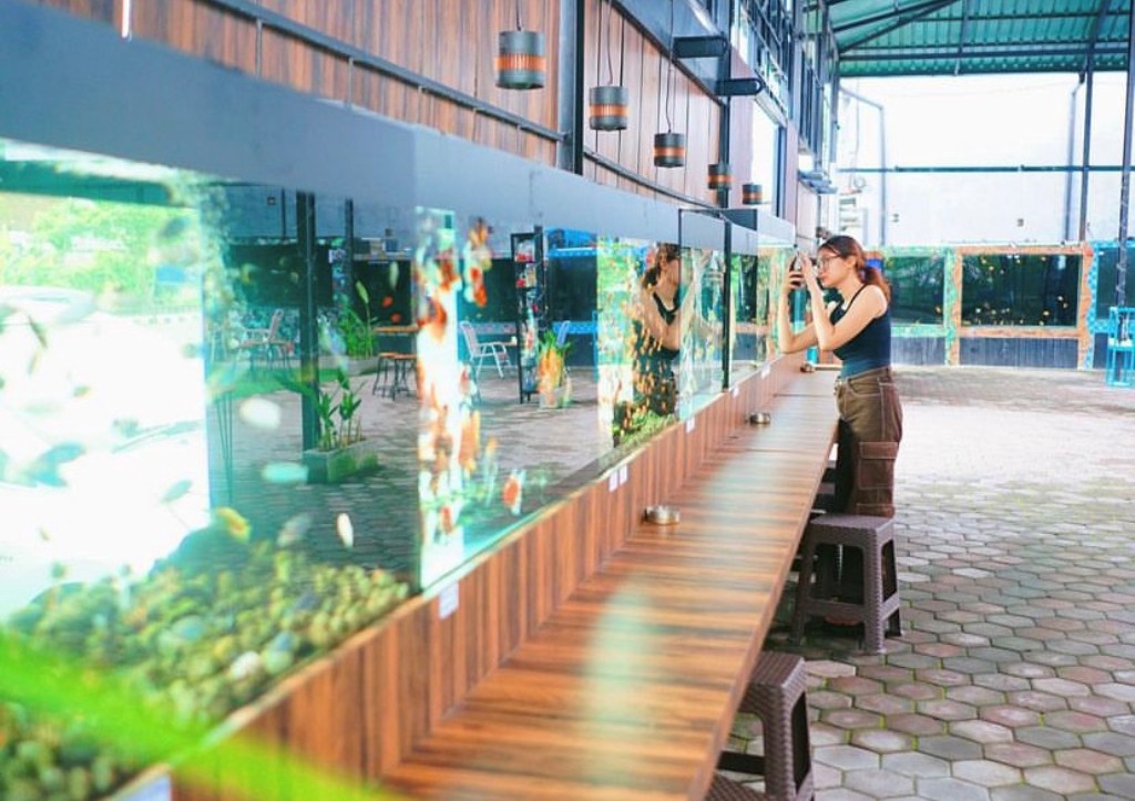 Dvan Gallery Bali