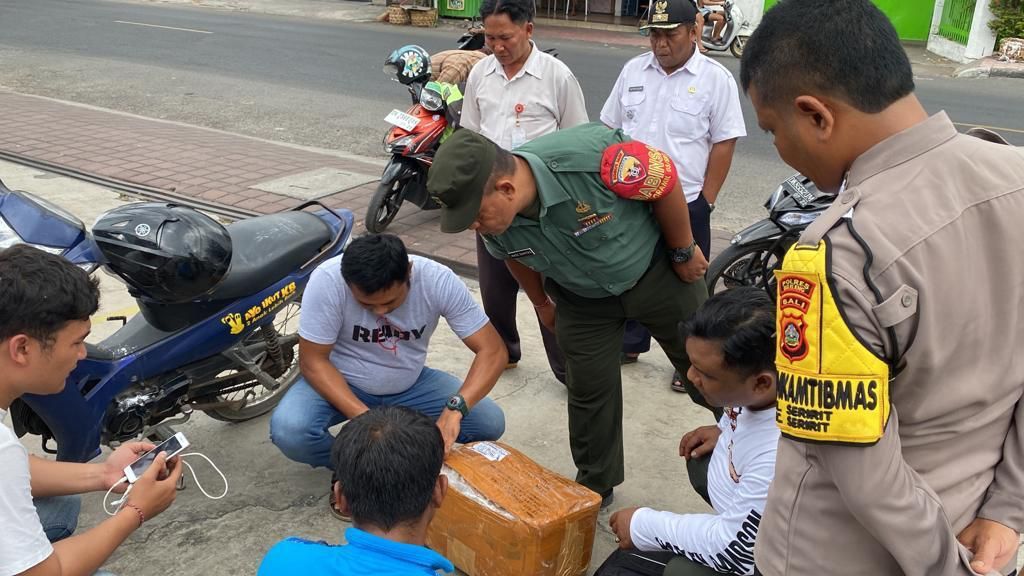 BONGKAR: Petugas menggeledah barang bukti tujuh box diduga berisi narkotika jenis ganja milik sindikat yang beroperasi di Buleleng.