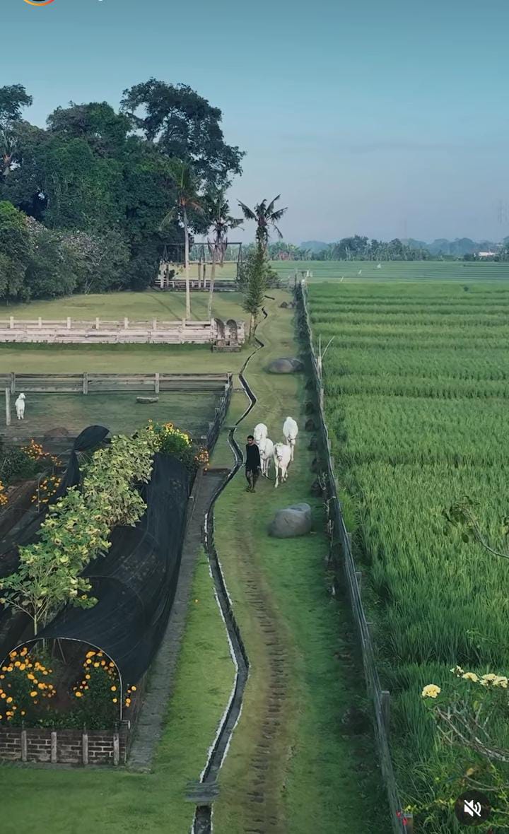 OBJEK BARU: Perkebunan dan Peternakan di Lodgeinthewoods, sebuah hotel yang beralamat di Banjar Dangin Uma, Desa Kaba-kaba, Kecamatan Kediri, Tabanan, Bali.
